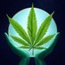 Vet 420 (@weedvet) Twitter profile photo Vet 420 (@weedvet) Twitter profile photo