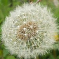 Keynesian (@getmeiron) 's Twitter Profile Photo