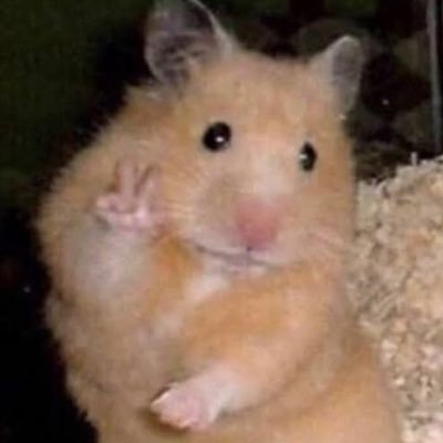 jalainetag's profile picture. 