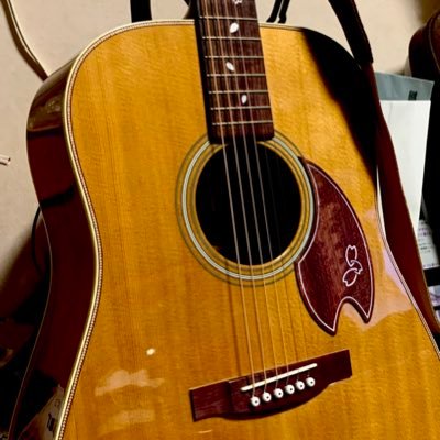 🎸まゆみ🥁さんのプロフィール画像