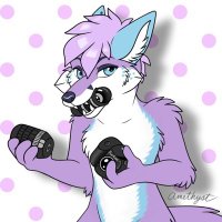 Lander (@landerfoxx) 's Twitter Profile