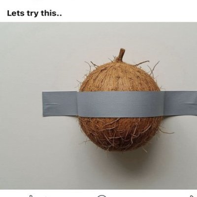 CoconutCto's profile picture. 