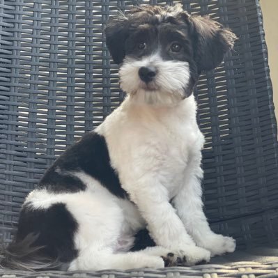 10Mathiasb's profile picture. 