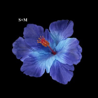 sm143__'s profile picture. 