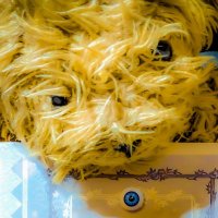 M*A*S*H「熊が冬眠から目覚めるように🐻」 (@kumakakiya) 's Twitter Profile Photo M*A*S*H「熊が冬眠から目覚めるように🐻」 (@kumakakiya) 's Twitter Profile Photo