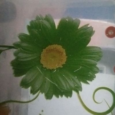 rojina1569's profile picture. 