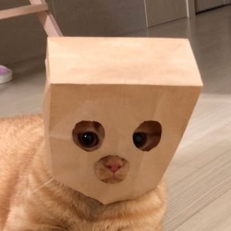 타인의 사랑에 만 미친사람