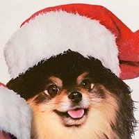 v_tani (@vtani7) 's Twitter Profile