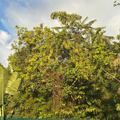 whint69503's profile picture. 