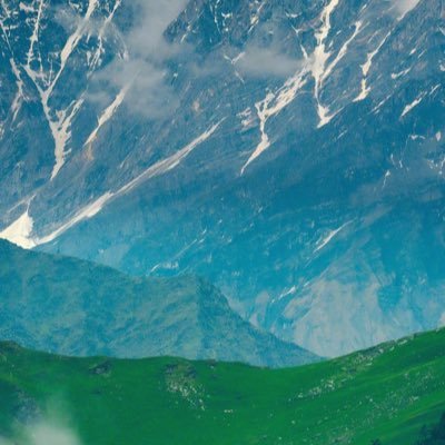 al550702's profile picture. 