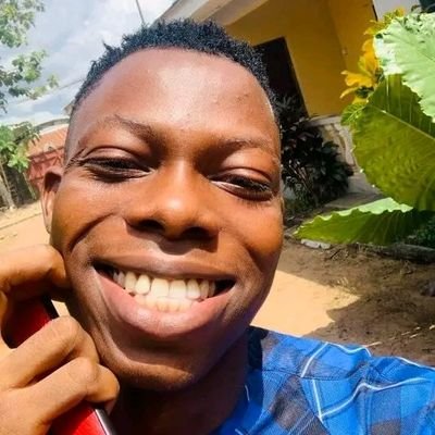 KingAkins7's profile picture. Data Engineering alumnus @Altschoolafrica || Molecular microbiologist