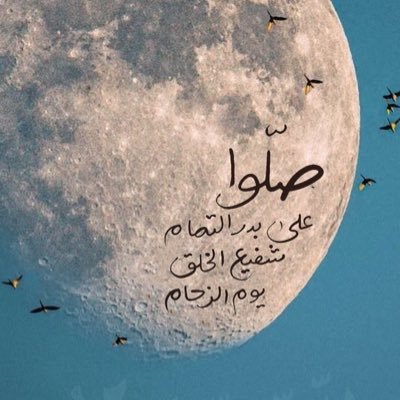 a_eshaiwy's profile picture. 