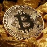 crypto lover (@metinsezer60) 's Twitter Profile