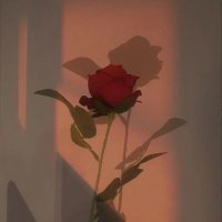 ابرار السعدوية (@dwyt40191) Twitter profile photo
