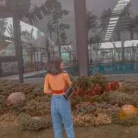 Amy Rush (@amyrush675763) 's Twitter Profile