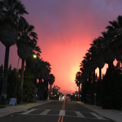 South_Paw23's profile picture. Telangana First | Views are personal