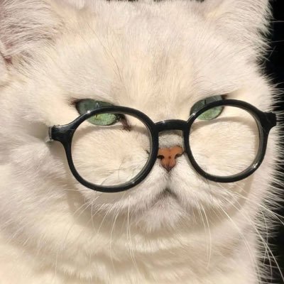 あらん🪼さんのプロフィール画像
