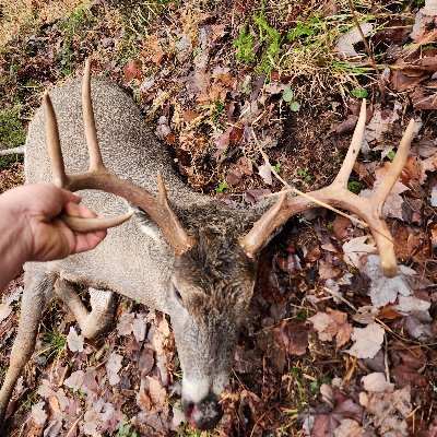 Jake9208556's profile picture. 