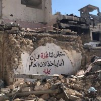 محمد حسني * غزة (@mohmedj4) 's Twitter Profile