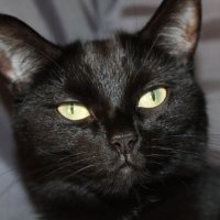 Bobstherealist (@bobstherealist) 's Twitter Profile