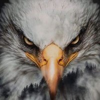 Big Bird (@bigbirdofbayst) 's Twitter Profile