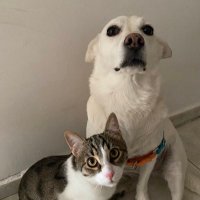fulya eren 🫶🏻 (@erenfulya) 's Twitter Profile