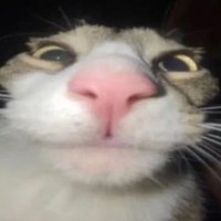Hight Temp (@mynamehjef) 's Twitter Profile