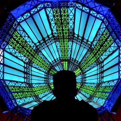 966pq's profile picture. The Legend of Zelda: Tears of the Kingdom