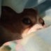 John (@john96548683) Twitter profile photo John (@john96548683) Twitter profile photo