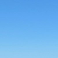 bd (@bidi219) 's Twitter Profile Photo bd (@bidi219) 's Twitter Profile Photo