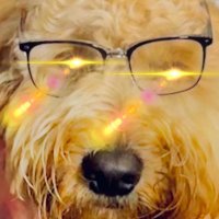 Coconut Harry (@coconutharry33) 's Twitter Profile