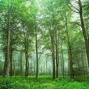 EluardMuur's profile picture. I'm well read and educated, many people online are used to arguing with uneducated folk, I destroy them with knowledge every time.