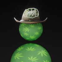 nate zigweed🤠 (@zigweedz) 's Twitter Profile Photo nate zigweed🤠 (@zigweedz) 's Twitter Profile Photo