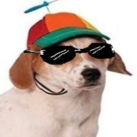 the cooler max_ (@coole99r_max) 's Twitter Profile Photo the cooler max_ (@coole99r_max) 's Twitter Profile Photo