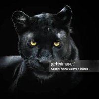 Sacha hemscardy (@hemardh70249) 's Twitter Profile