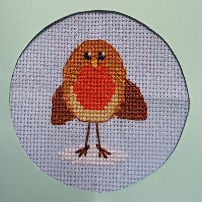 Works for a charity supporting children with their reading. Likes music, gardening, nature, fun days, prosecco, DIY and gadgets