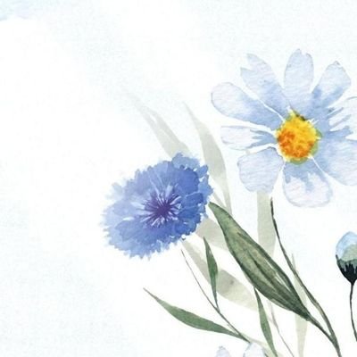 maigualida25205's profile picture. 