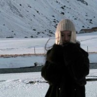 Lynette Williams (@n4fp23ihgk3wc) 's Twitter Profile