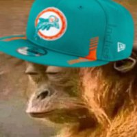 Joey 📏🐬🏈😙🤌 (@inchesnfl) 's Twitter Profile Photo Joey 📏🐬🏈😙🤌 (@inchesnfl) 's Twitter Profile Photo