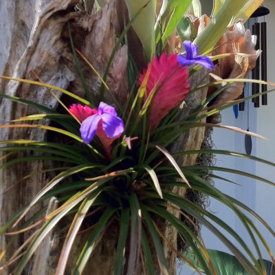 ClaireDuff18874's profile picture. 