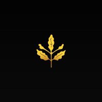 Aybike π (@aybukeciiik) 's Twitter Profile