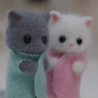 ๐ฃ (@nn_uoe) 's Twitter Profile