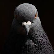 JohnPorkta's profile picture. 