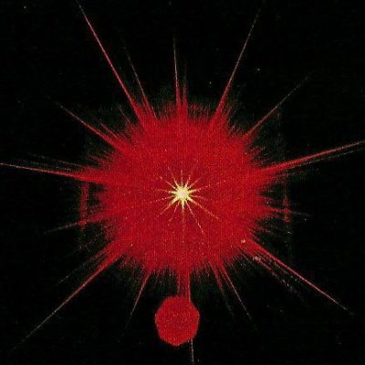 scumcheck's profile picture. 