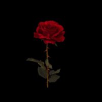 A (@az112323) Twitter profile photo