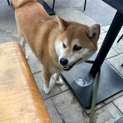 20代後半♂ 税理士目指して勉強中 参政党一般党員です!参政党応援してますが、政治好きな人は誰でもフォロバします‼️ 参政党支持です🟠 無言フォロー失礼します! 京都サンガ/巨人/簿記1級/税理士/ミスチル いきなりDMはブロックさせていただきます