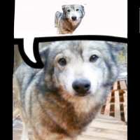 lololu🇵🇱🏳️🌈 (@bzdziungwo) 's Twitter Profile Photo lololu🇵🇱🏳️🌈 (@bzdziungwo) 's Twitter Profile Photo