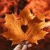HalleluYAH (@halleluy79051) Twitter profile photo HalleluYAH (@halleluy79051) Twitter profile photo