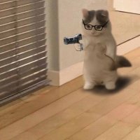 π (@astroboyuix) 's Twitter Profile