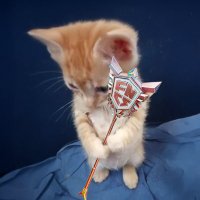 zertique (@zertiquefn) 's Twitter Profile